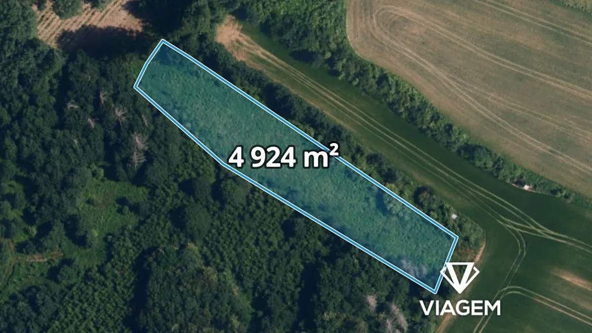 Prodej podílu 1/2 lesa 2462 m²